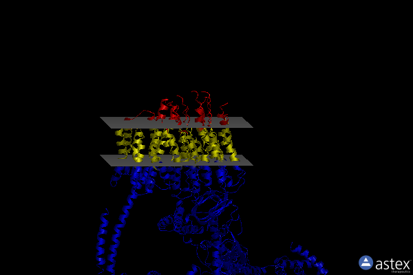 Membrane view of 5fil