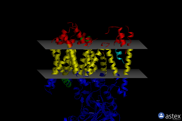 Membrane view of 5fn5