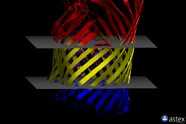 Membrane view of 5fok