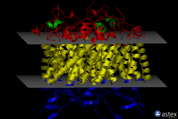 Membrane view of 5fuf