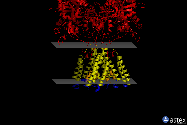 Membrane view of 5fxi