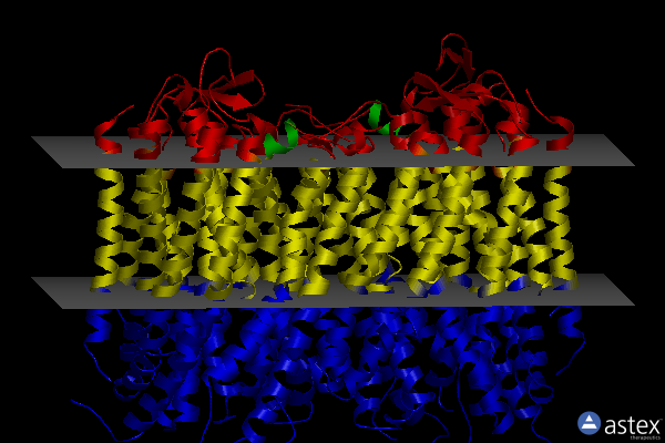 Membrane view of 5gpj