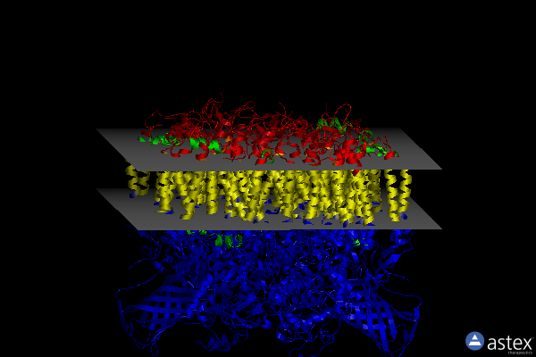 Membrane view of 5h2f