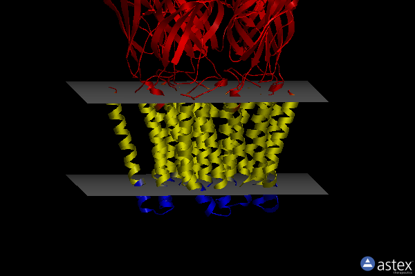 Membrane view of 5hcj
