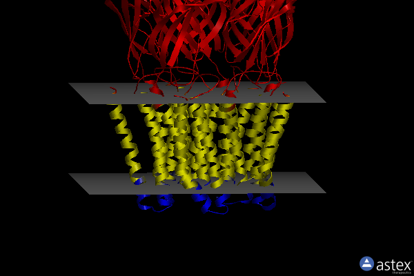 Membrane view of 5hcm