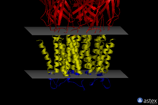 Membrane view of 5hej