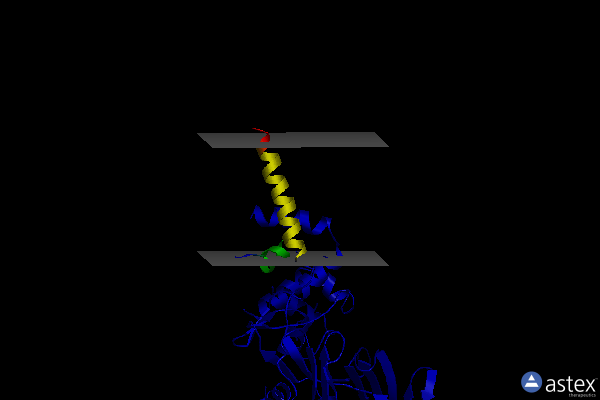 Membrane view of 5hld