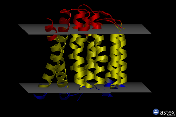 Membrane view of 5hwx