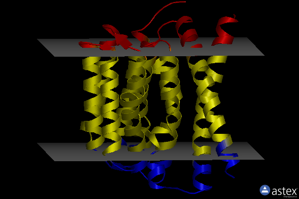 Membrane view of 5hxc