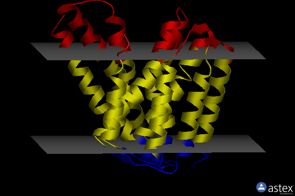 Membrane view of 5hxh