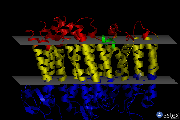 Membrane view of 5ir6