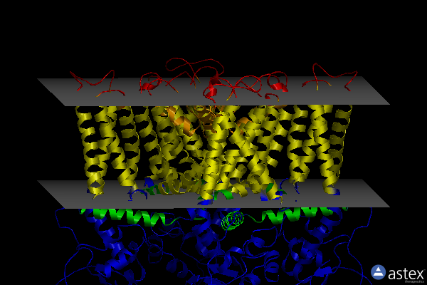 Membrane view of 5irz