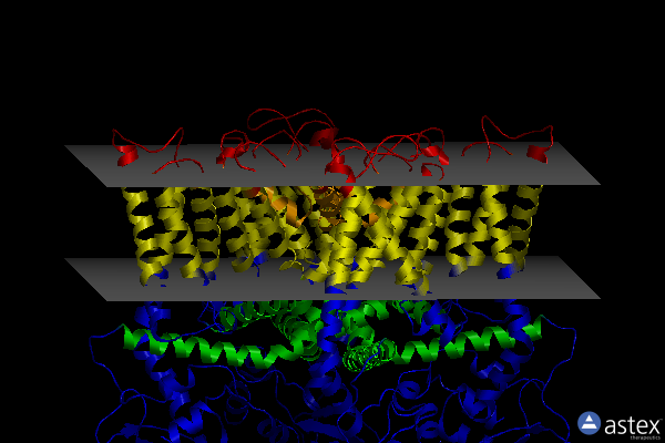Membrane view of 5is0