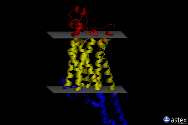 Membrane view of 5iu8