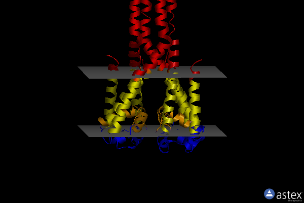 Membrane view of 5iwo