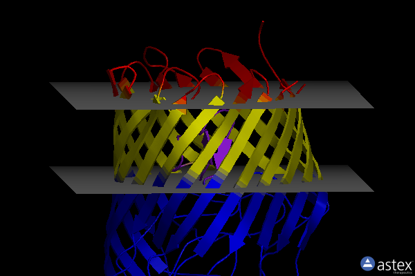 Membrane view of 5iyu