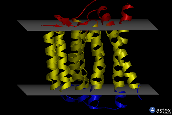 Membrane view of 5jdn