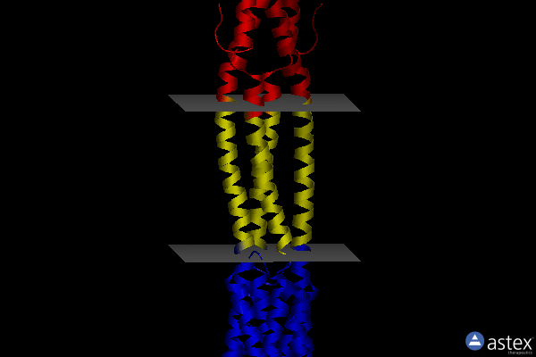 Membrane view of 5jef