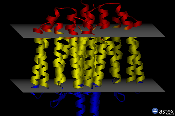 Membrane view of 5jje