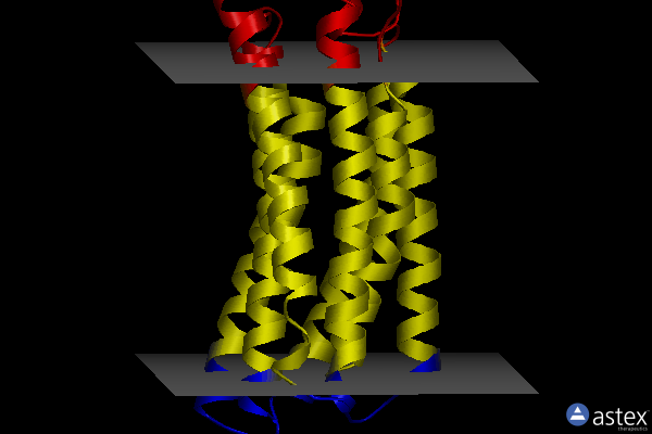 Membrane view of 5jrf