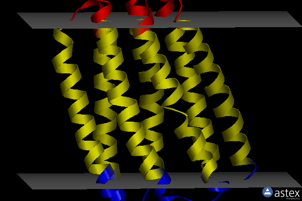 5jsi
