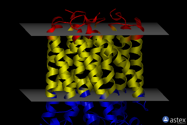Membrane view of 5k0i