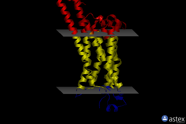 Membrane view of 5k2a