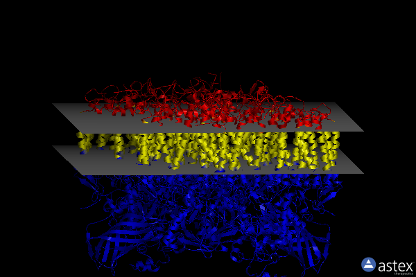 Membrane view of 5kai
