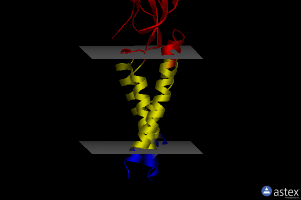Membrane view of 5kbn