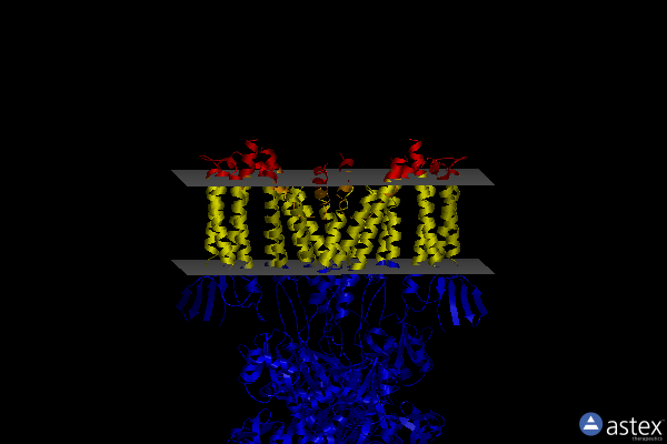 Membrane view of 5kbu