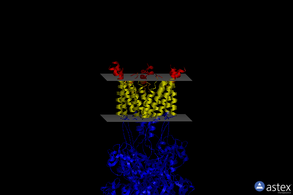 Membrane view of 5kbv