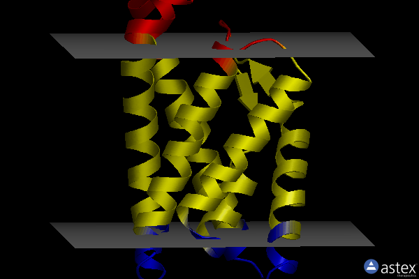 Membrane view of 5kc4
