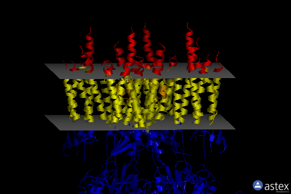 Membrane view of 5kk2