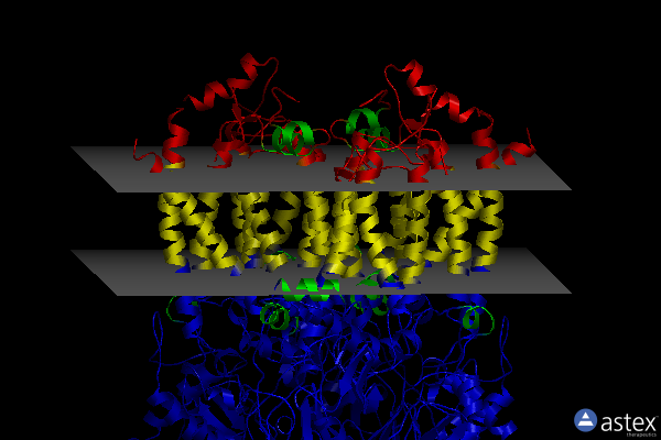 Membrane view of 5kli