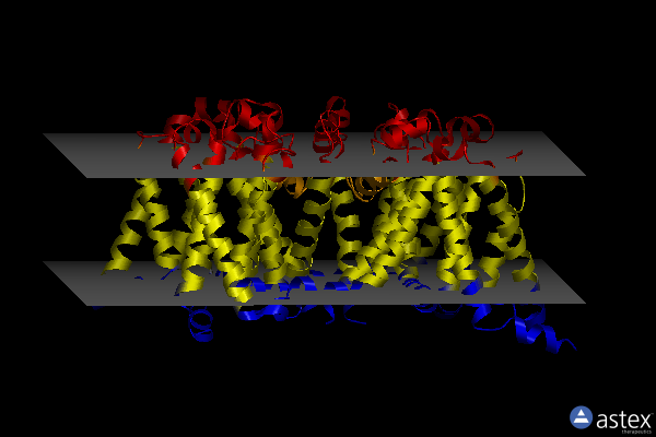 Membrane view of 5kls