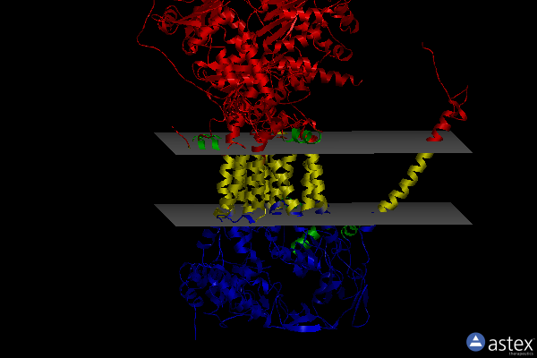 Membrane view of 5klv