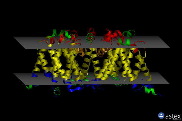 Membrane view of 5kmd