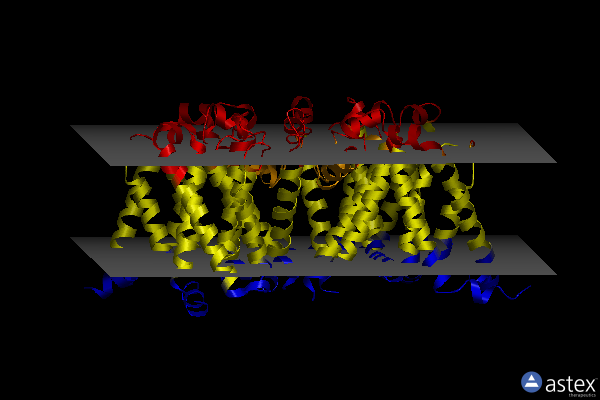 Membrane view of 5kmh