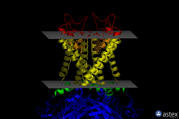 Membrane view of 5kum