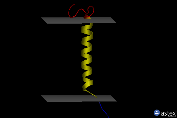 Membrane view of 5kzo