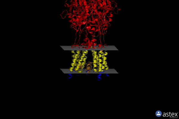 Membrane view of 5l1f