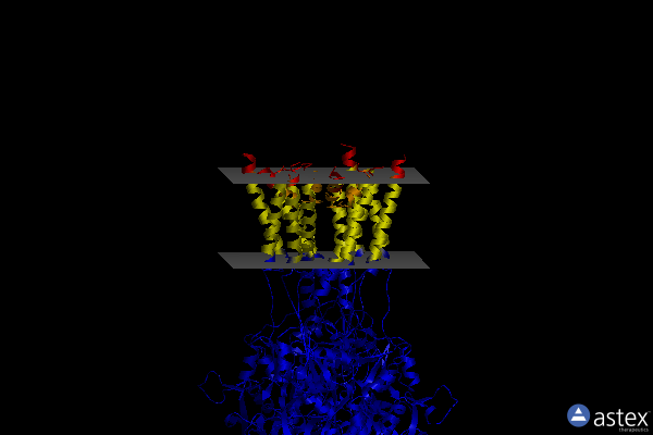 Membrane view of 5l1h