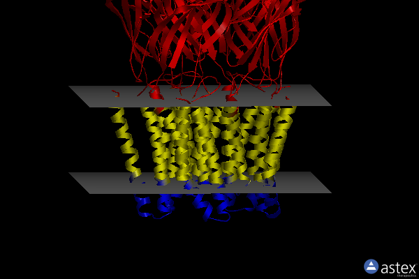 Membrane view of 5l47