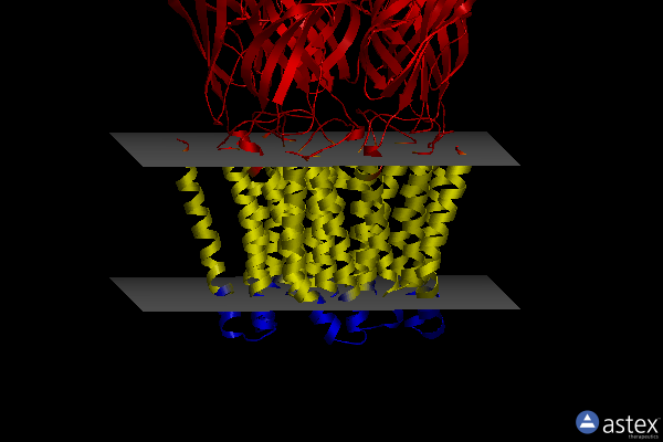 Membrane view of 5l4e