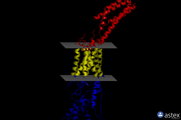 Membrane view of 5l7d
