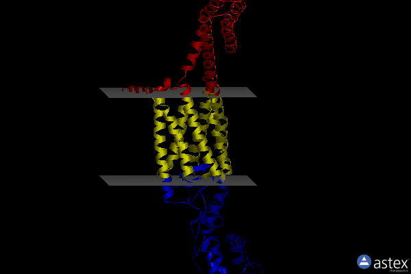 Membrane view of 5l7i