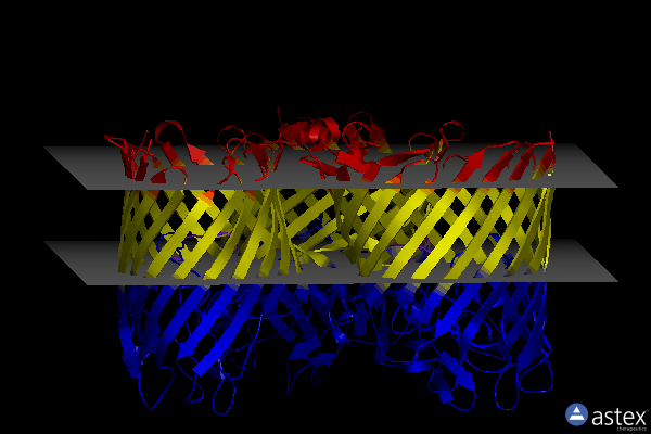 Membrane view of 5ldt