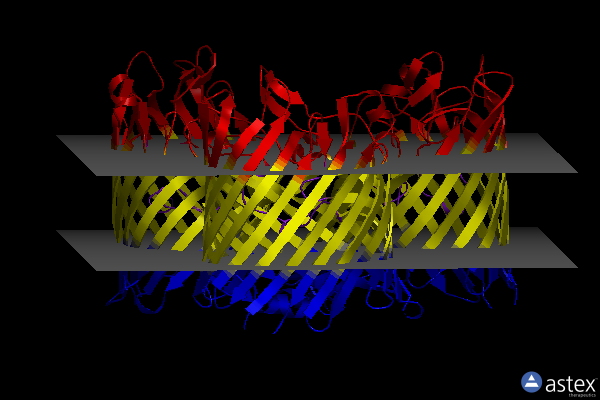 Membrane view of 5ldv