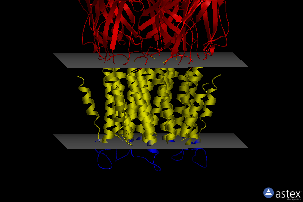 Membrane view of 5lid
