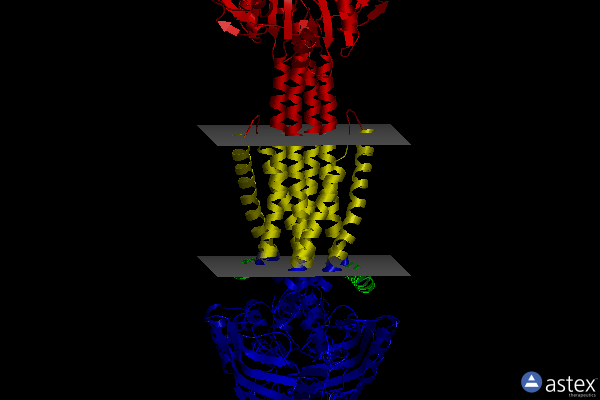 Membrane view of 5lj7